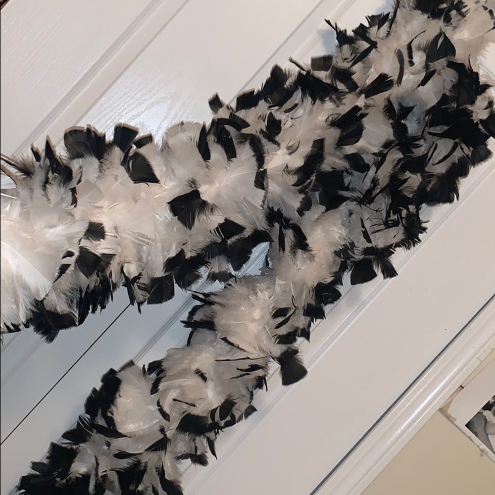 Black & White Feathered Boa